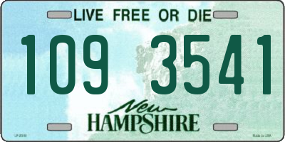 NH license plate 1093541