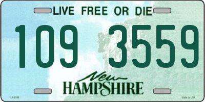 NH license plate 1093559