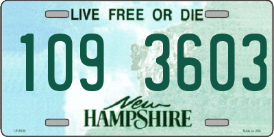 NH license plate 1093603