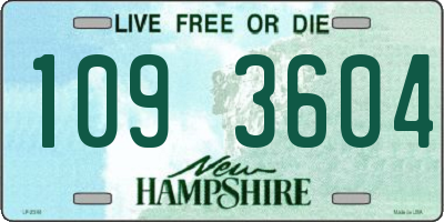 NH license plate 1093604