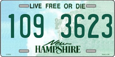 NH license plate 1093623