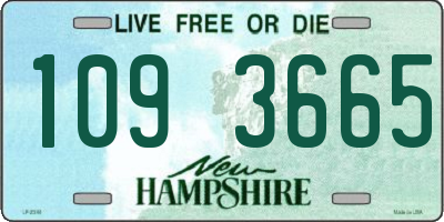 NH license plate 1093665