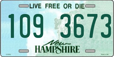 NH license plate 1093673