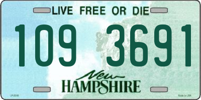 NH license plate 1093691