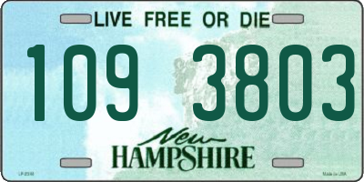 NH license plate 1093803