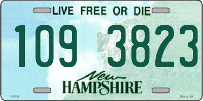 NH license plate 1093823