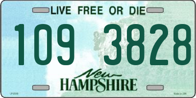 NH license plate 1093828