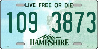 NH license plate 1093873