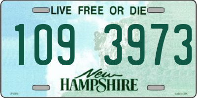 NH license plate 1093973