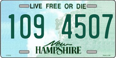 NH license plate 1094507