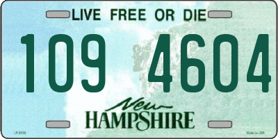 NH license plate 1094604