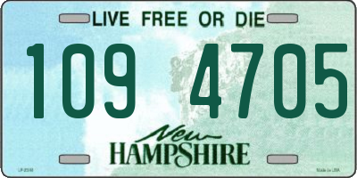 NH license plate 1094705