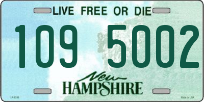 NH license plate 1095002