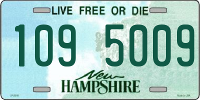 NH license plate 1095009