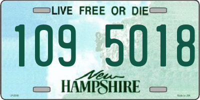 NH license plate 1095018