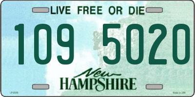 NH license plate 1095020