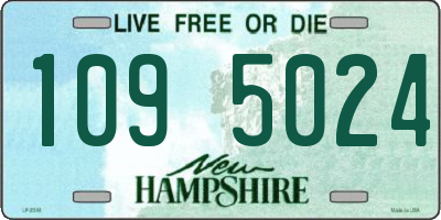 NH license plate 1095024