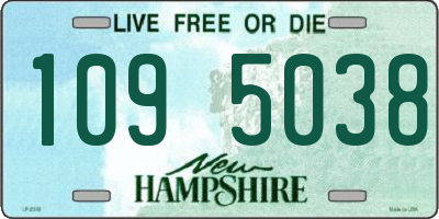 NH license plate 1095038
