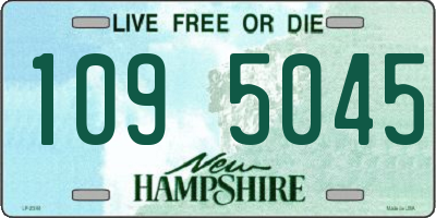 NH license plate 1095045