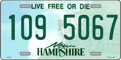 NH license plate 1095067