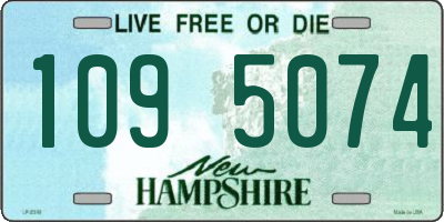 NH license plate 1095074