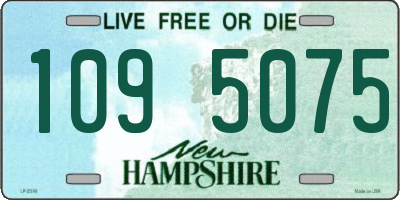 NH license plate 1095075