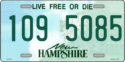 NH license plate 1095085