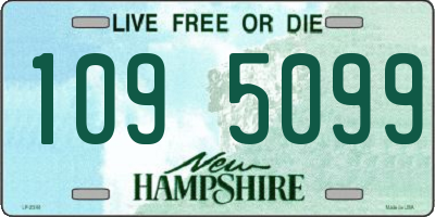 NH license plate 1095099