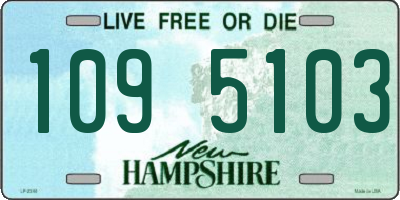 NH license plate 1095103