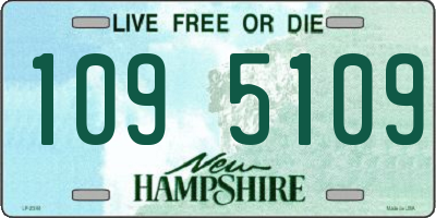 NH license plate 1095109