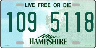 NH license plate 1095118