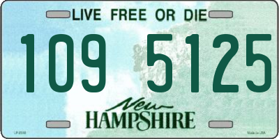 NH license plate 1095125