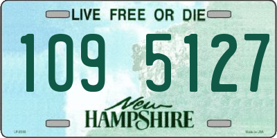 NH license plate 1095127