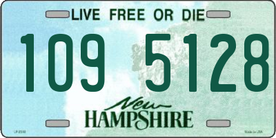 NH license plate 1095128
