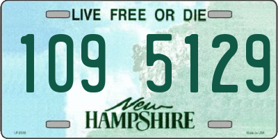 NH license plate 1095129