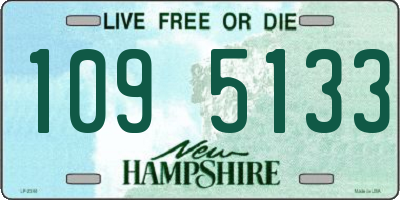 NH license plate 1095133