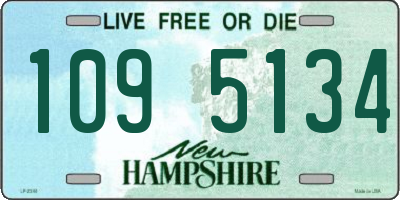 NH license plate 1095134