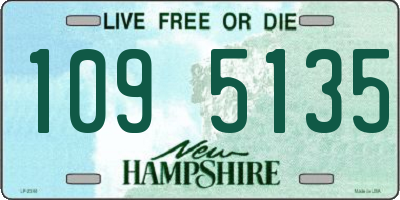 NH license plate 1095135