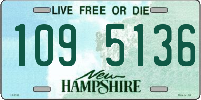 NH license plate 1095136