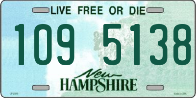 NH license plate 1095138