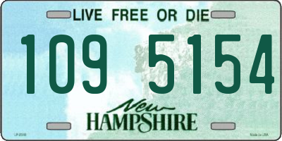 NH license plate 1095154