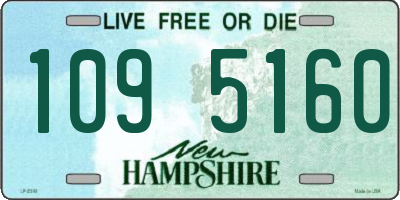 NH license plate 1095160