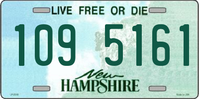 NH license plate 1095161