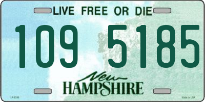 NH license plate 1095185