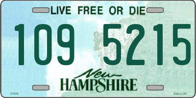 NH license plate 1095215