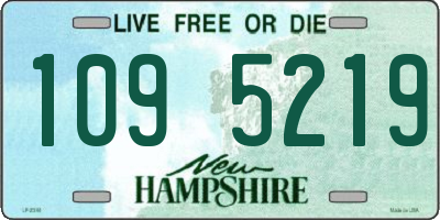 NH license plate 1095219