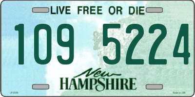 NH license plate 1095224