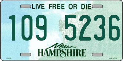 NH license plate 1095236