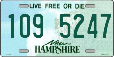 NH license plate 1095247