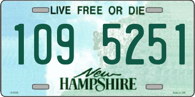 NH license plate 1095251